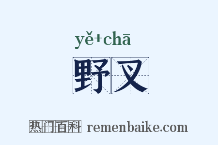 野叉是什么意思的图片
